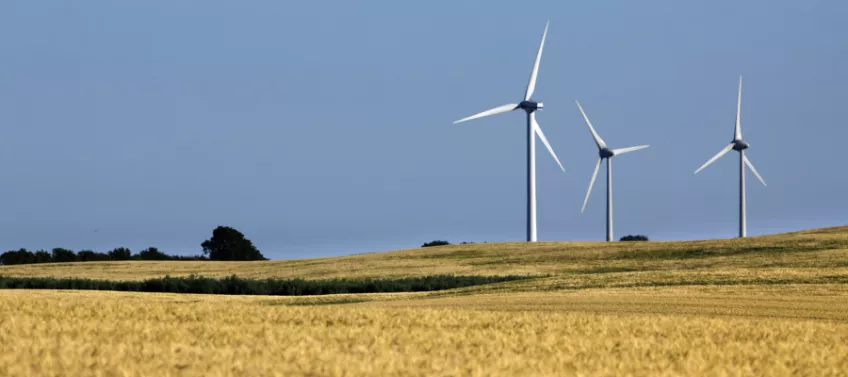 Windmills at a field. Photo.